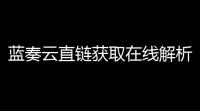 蓝奏云直链获取在线解析网站源码 蓝奏云链接解析 本地API接口